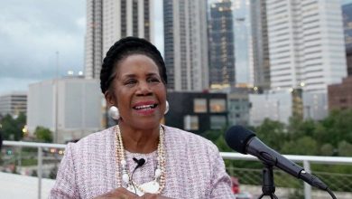 Sheila Jackson Lee Biography