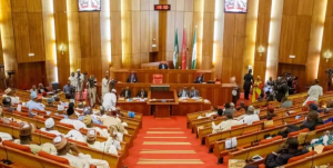 Senate begins screening the seven ministerial nominees