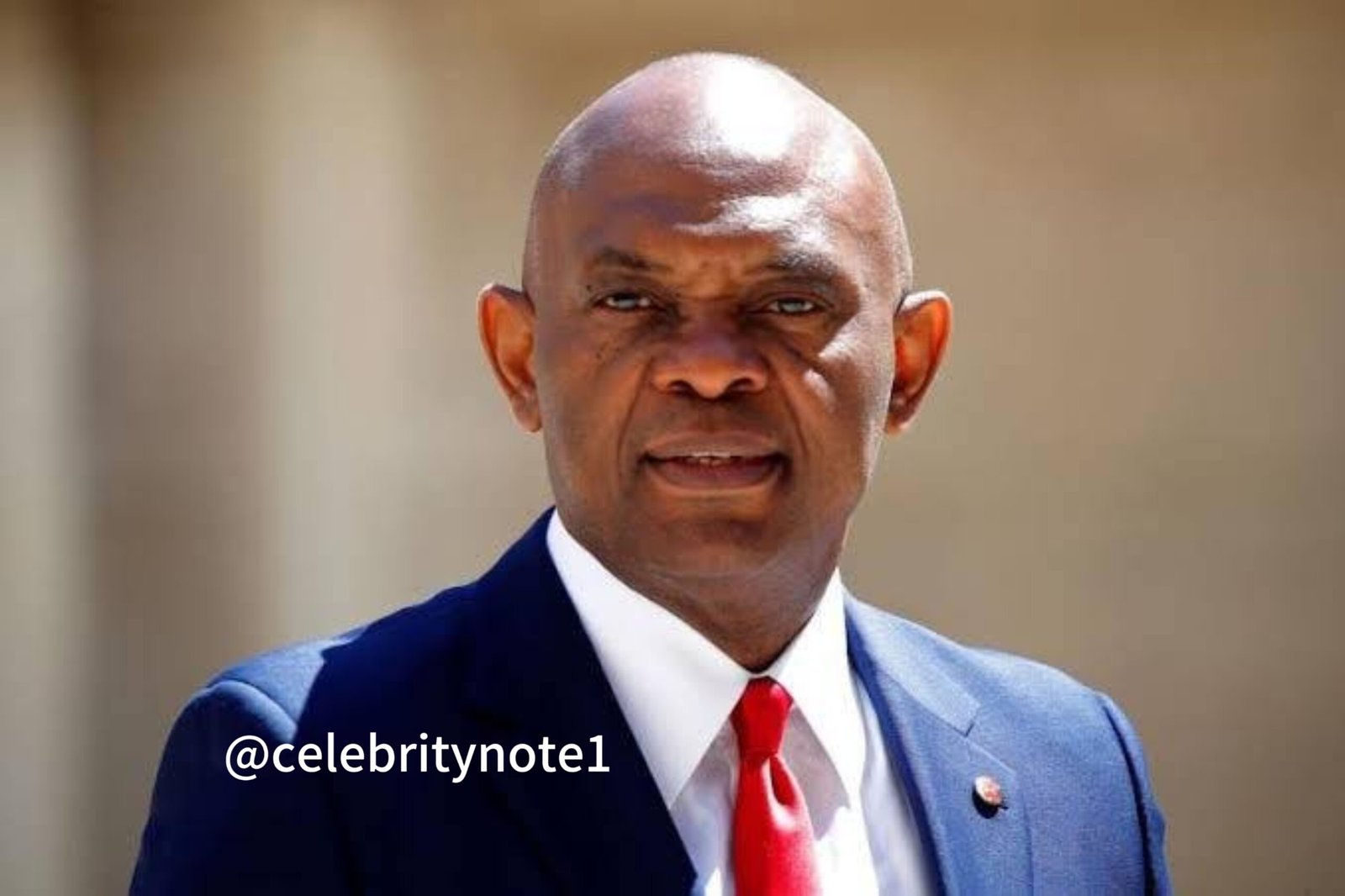 Tony Elumelu