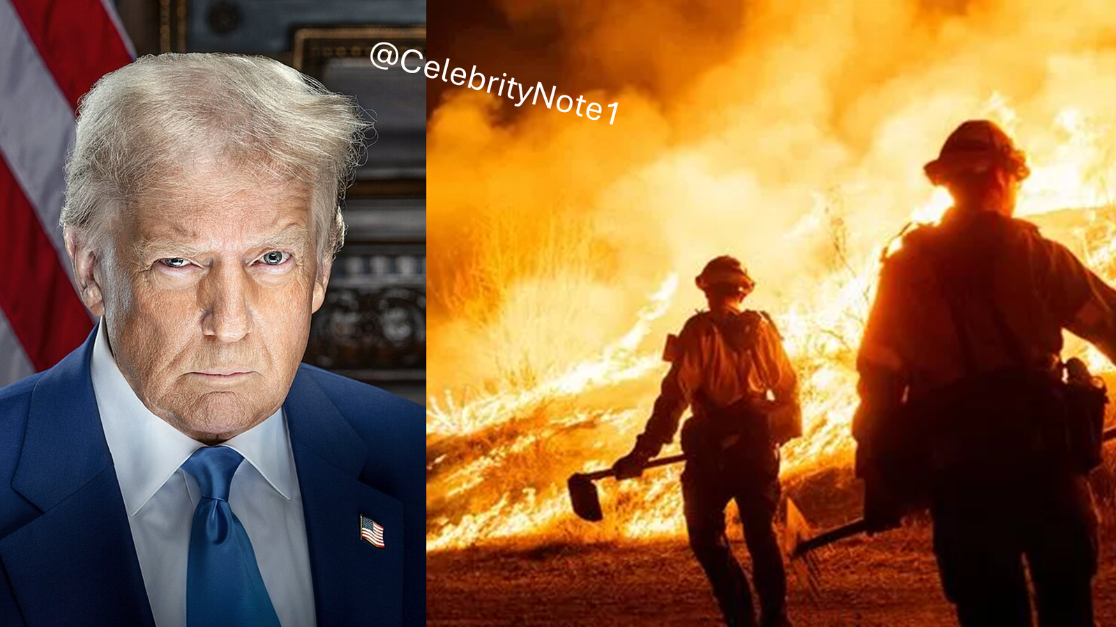 Donald Trump concering LA WildFire